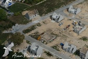 P1550544 2022 09 05 Allée Des Aigrettes, Des Hérons, Des Spatules